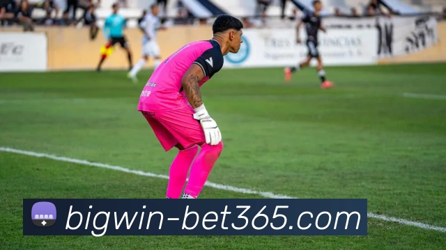 辅助工具 辅助工具